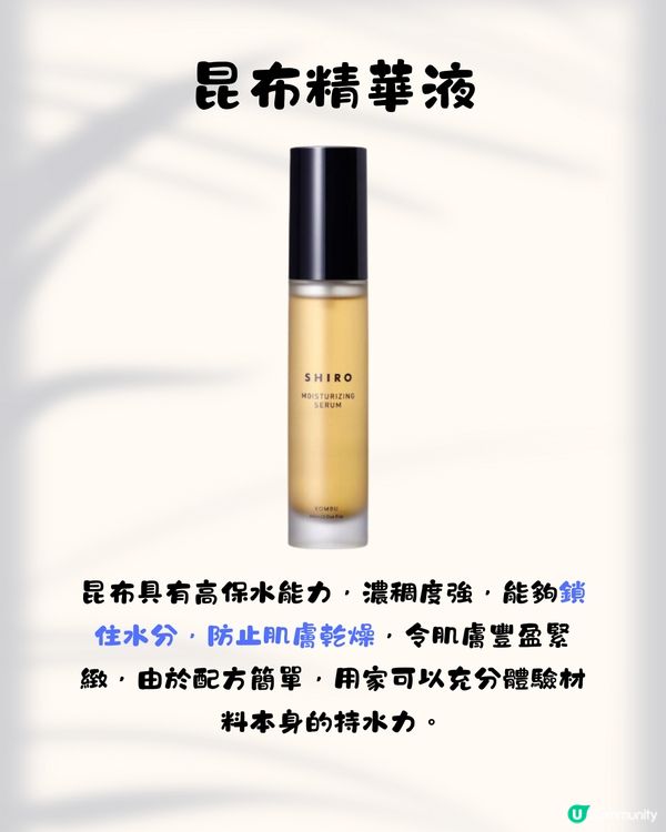 日本小眾香氛保養品牌SHIRO 10大必買推介✨成份簡單天然養出高級肌膚😍