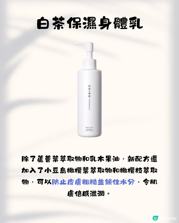 日本小眾香氛保養品牌SHIRO 10大必買推介✨成份簡單天然養出高級肌膚😍