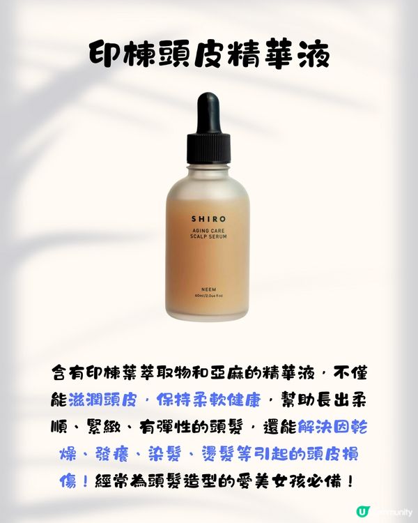 日本小眾香氛保養品牌SHIRO 10大必買推介✨成份簡單天然養出高級肌膚😍