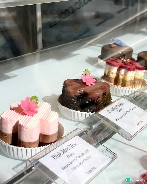 🎂 七月生日蛋糕 🎁  
細佬生日，揀咗心形蛋糕，靚到爆！