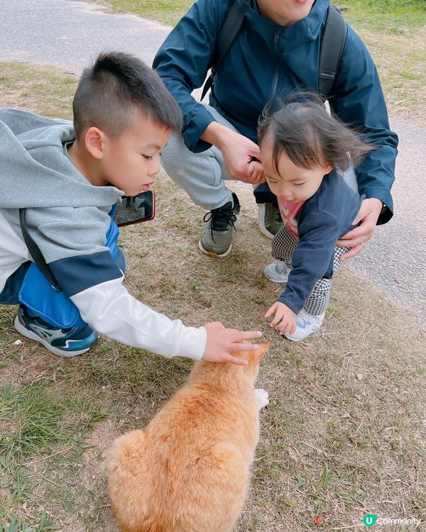沖繩貓貓島。奧武島。必食天婦羅