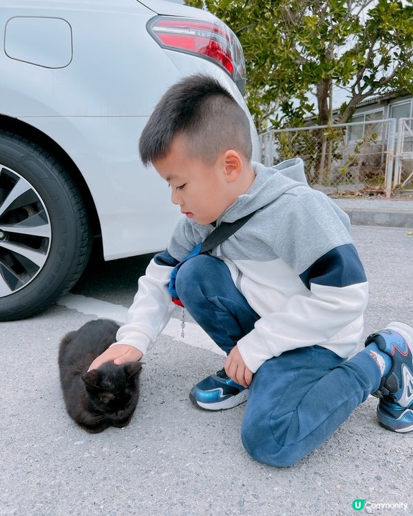 沖繩貓貓島。奧武島。必食天婦羅
