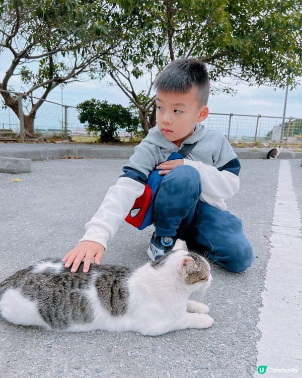 沖繩貓貓島。奧武島。必食天婦羅