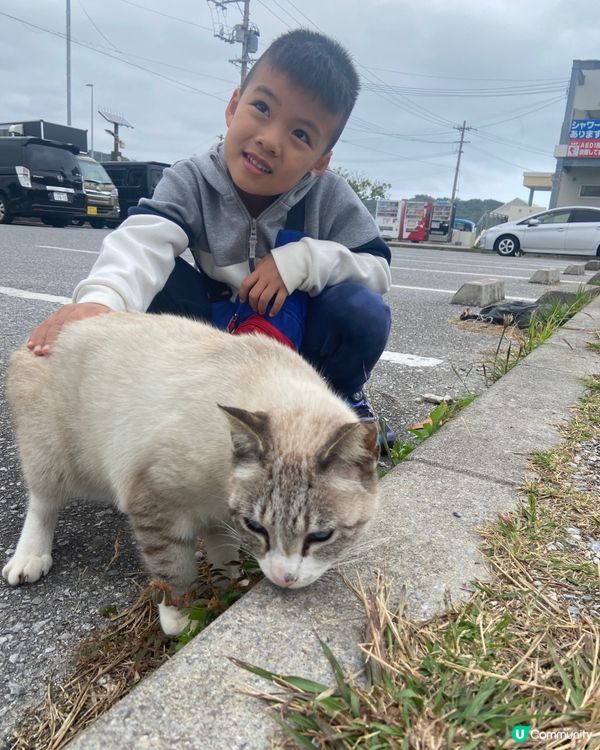 沖繩貓貓島。奧武島。必食天婦羅