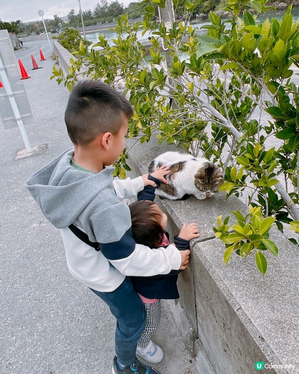 沖繩貓貓島。奧武島。必食天婦羅