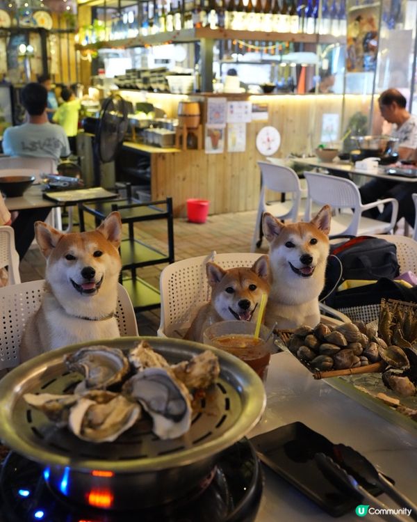 自己夾生猛海鮮 蒸海鮮超好食🦀🦞🦐