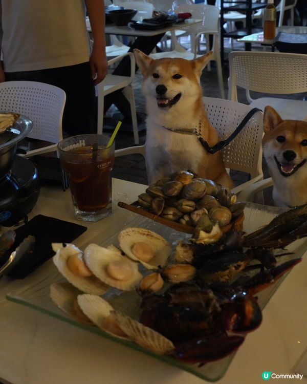 自己夾生猛海鮮 蒸海鮮超好食🦀🦞🦐