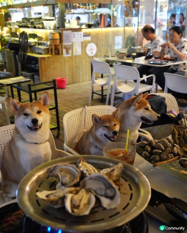 自己夾生猛海鮮 蒸海鮮超好食🦀🦞🦐