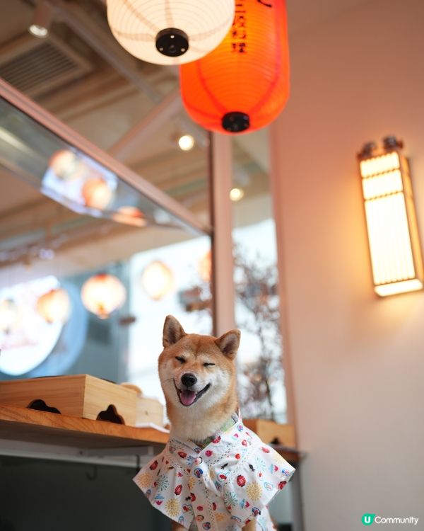 寵物友善沖繩料理💜 