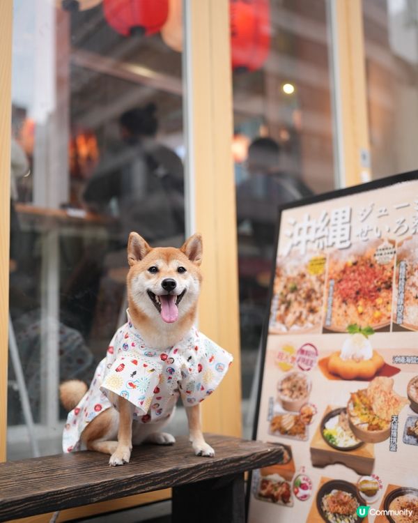 寵物友善沖繩料理💜 