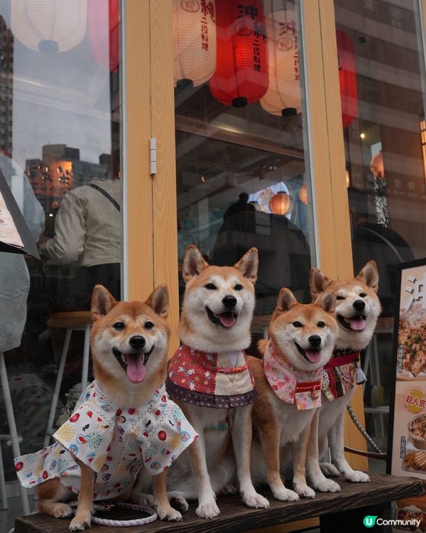 寵物友善沖繩料理💜 