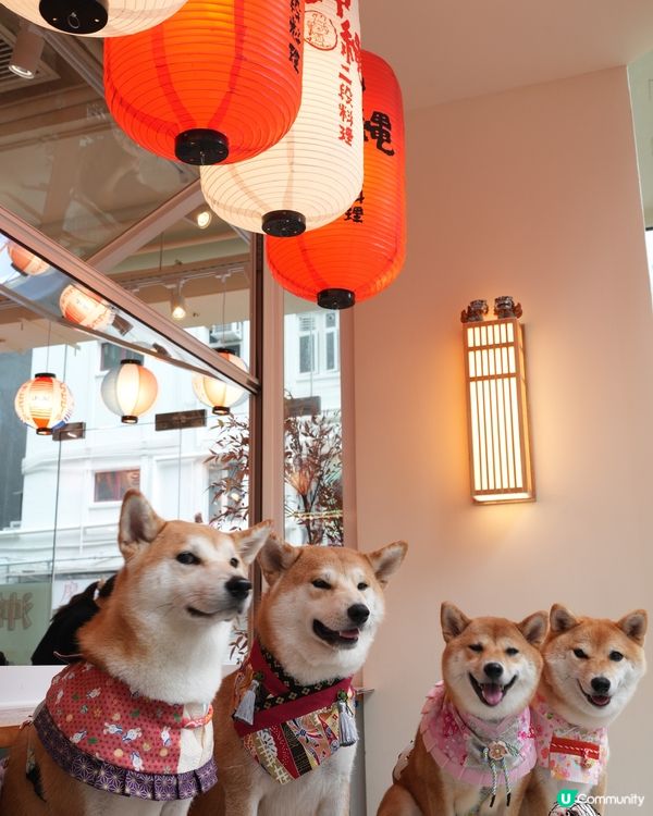 寵物友善沖繩料理💜 