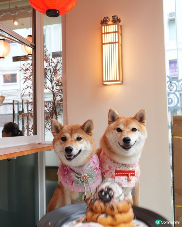 寵物友善沖繩料理💜 