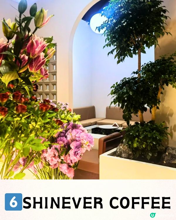 深圳龍華區6大精選下午茶🍵抹茶甜品專門店/酒店英式下午茶🍮低至¥20/位‼️