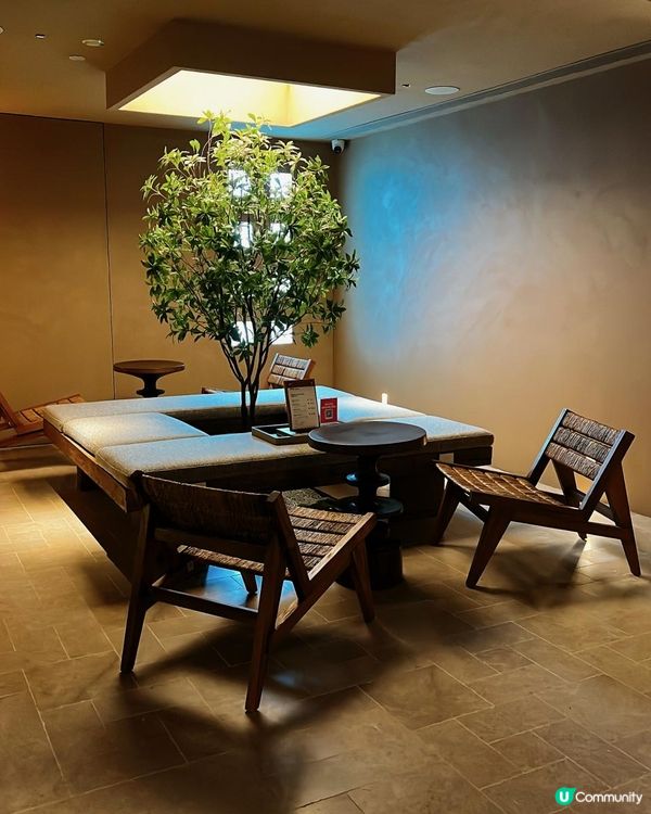 | #深圳探店 /沈浸式芳療 SPA。松池 |有機芳療SPA