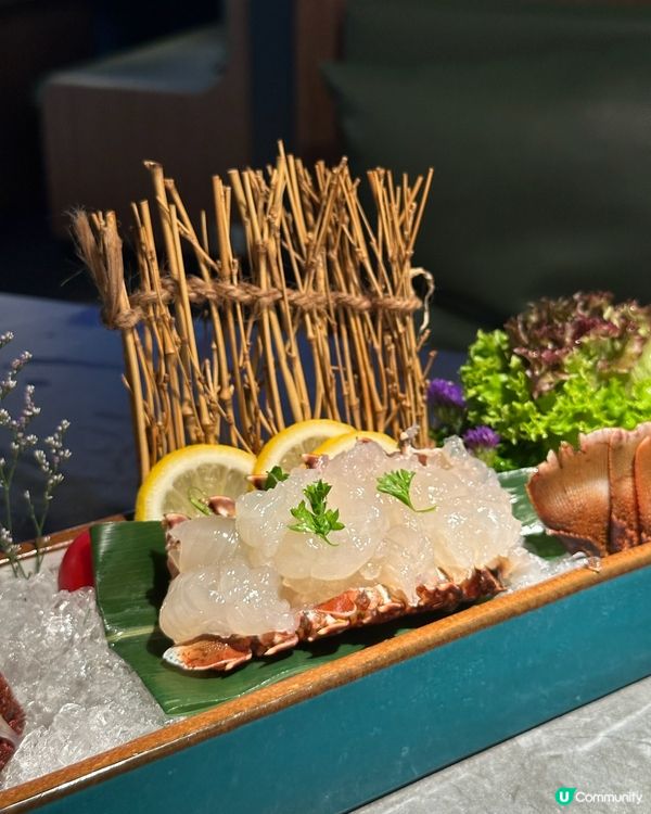 湊湊火鍋五週年🎉勁多優惠💯必點生猛龍蝦🦞