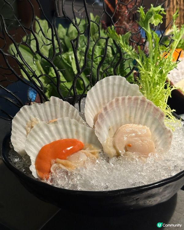 湊湊火鍋五週年🎉勁多優惠💯必點生猛龍蝦🦞