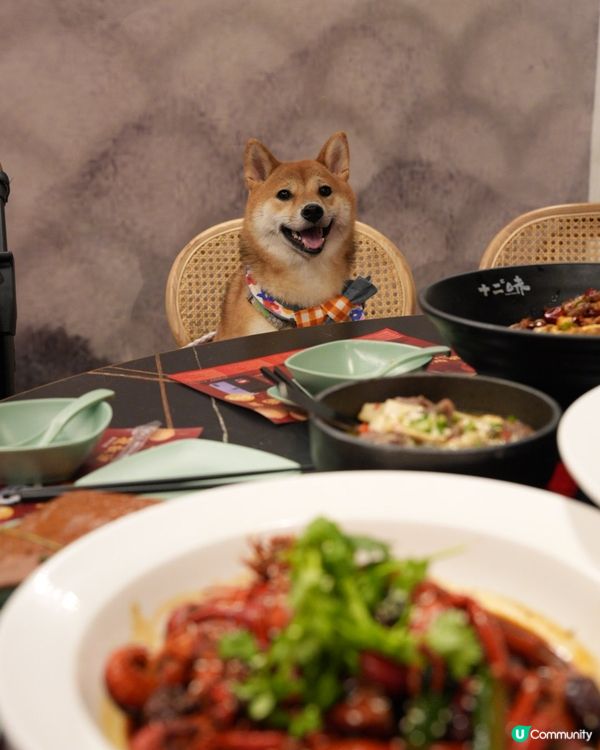 D2 寵物友善食辣野😝