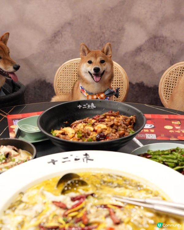 D2 寵物友善食辣野😝