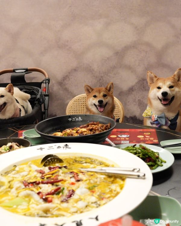 D2 寵物友善食辣野😝