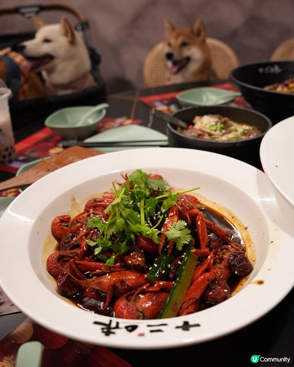 D2 寵物友善食辣野😝