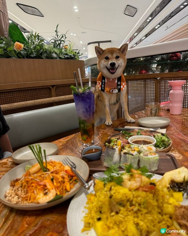 圍方泰國甜品好食💜寵物友善🐕