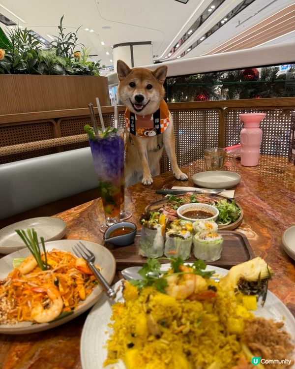 圍方泰國甜品好食💜寵物友善🐕