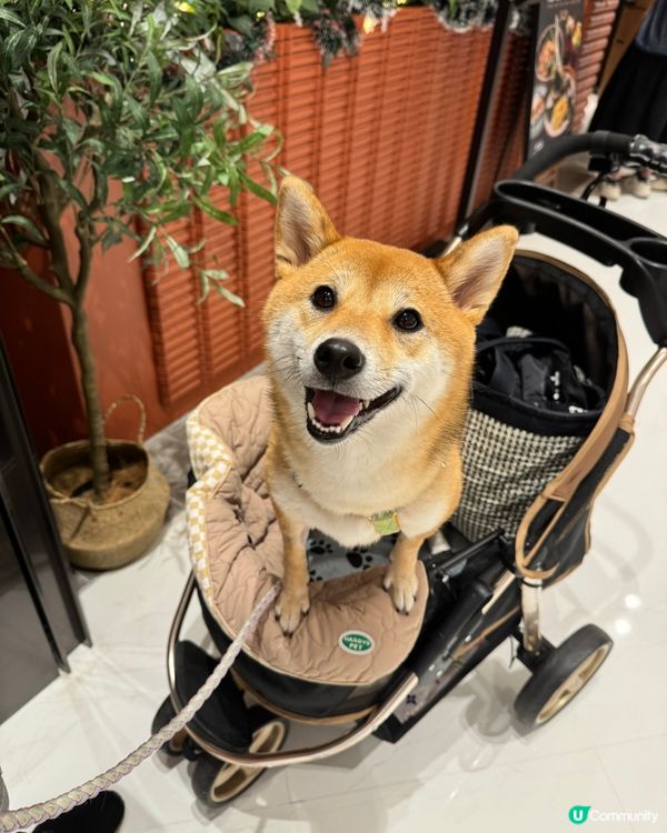 圍方泰國甜品好食💜寵物友善🐕