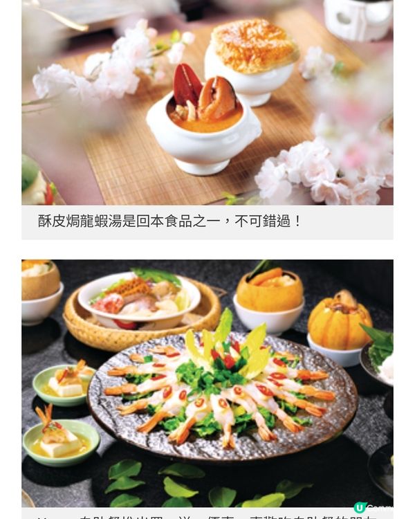 吸引食客留港消費2小時任食生蠔 之夜