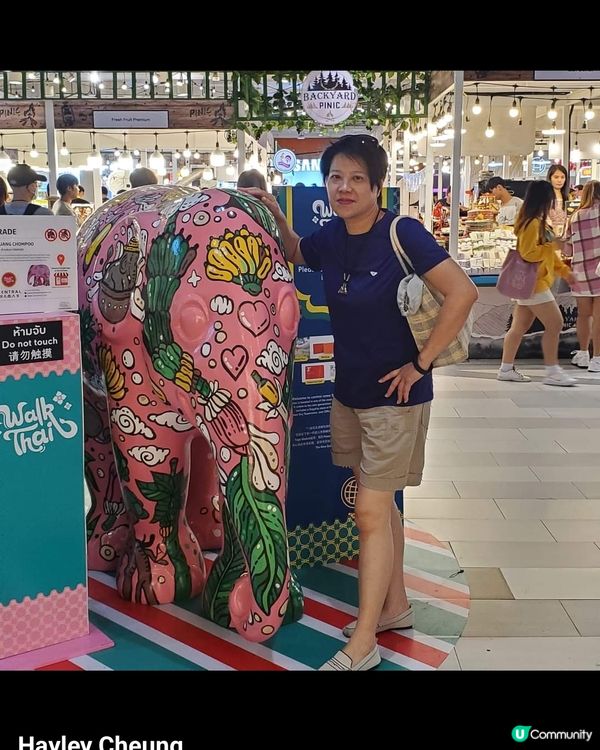 至愛去日本浸温泉及美食。去泰國也是美食天堂。