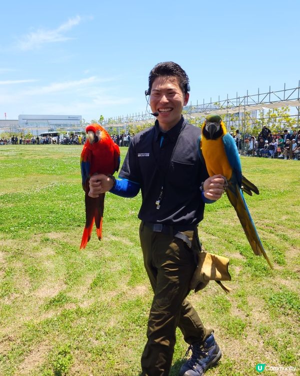 神戶動物王國,這座以溫室為主的動物園可觀賞熱帶植物、鳥類、小...