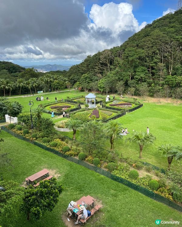 揸車 行舊生頂道上山，做一日遊客初體驗，經過政務司司長屋企，...