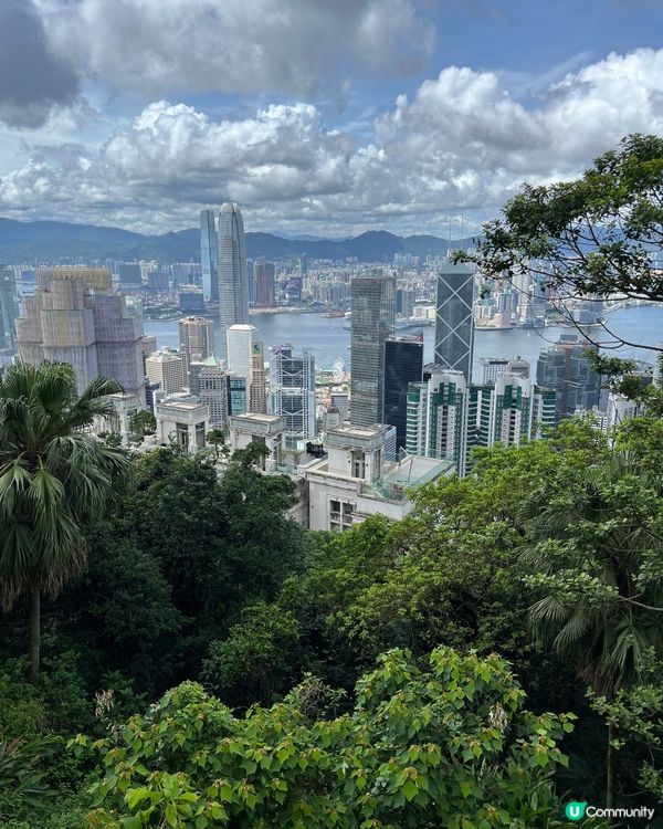 揸車 行舊生頂道上山，做一日遊客初體驗，經過政務司司長屋企，...