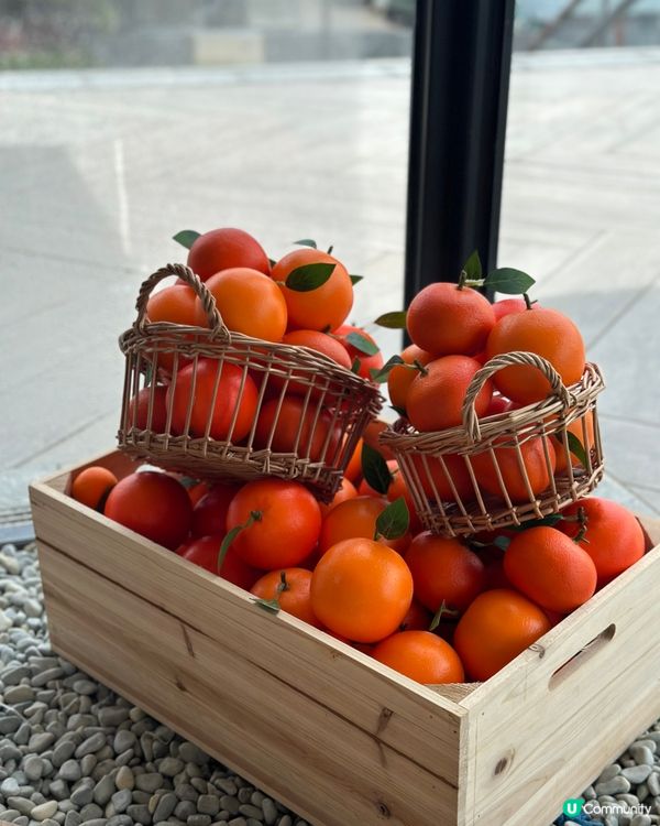 前陣子經過南昌站附近的海旁，才發現這裡多了一棟新的Soho ...