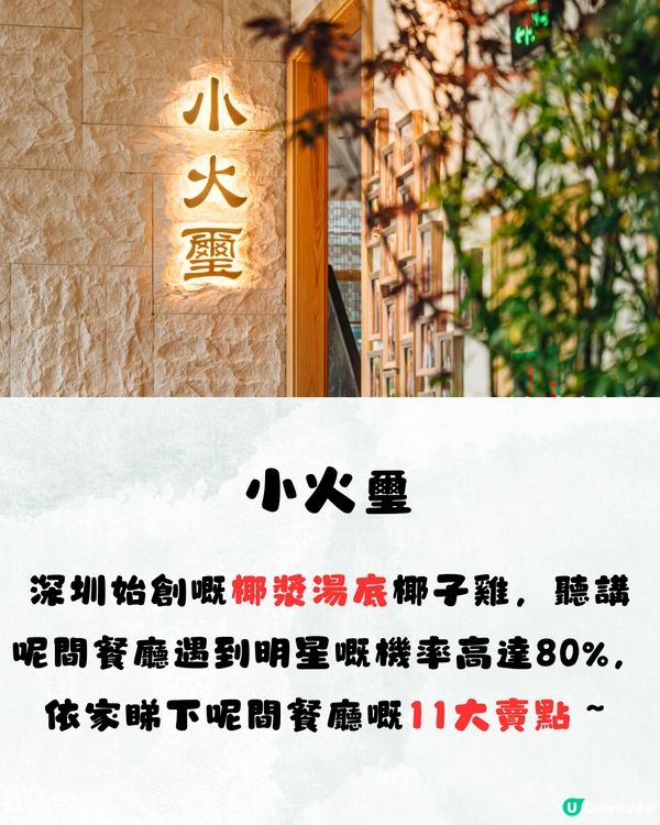 深圳明星同款椰子雞火鍋🔥招牌椰漿湯底👅¥295雙人套餐‼️