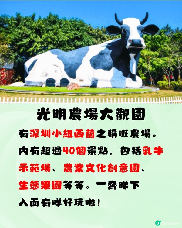 深圳光明農場燈光節2024！任玩40+個玩樂設施！親子必去～