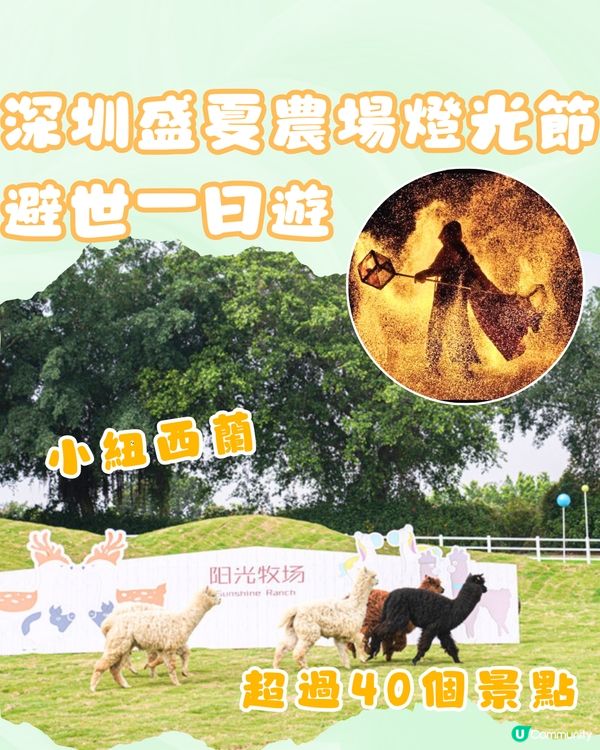 深圳光明農場燈光節2024！任玩40+個玩樂設施！親子必去～