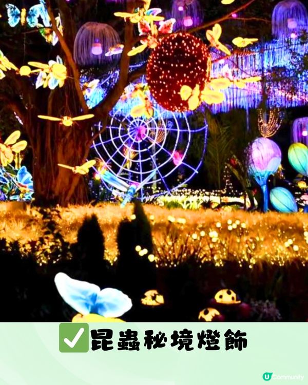 深圳光明農場燈光節2024！任玩40+個玩樂設施！親子必去～