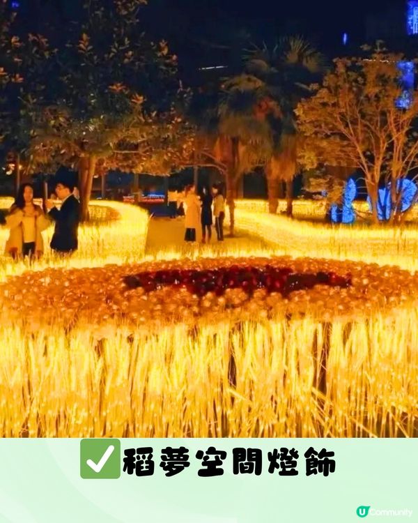 深圳光明農場燈光節2024！任玩40+個玩樂設施！親子必去～