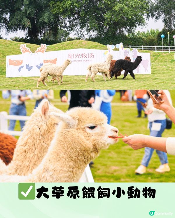 深圳光明農場燈光節2024！任玩40+個玩樂設施！親子必去～