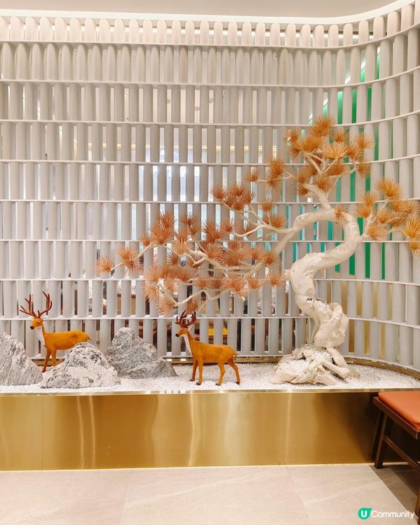 《多分店鮑魚雞煲開到皇庭廣場》