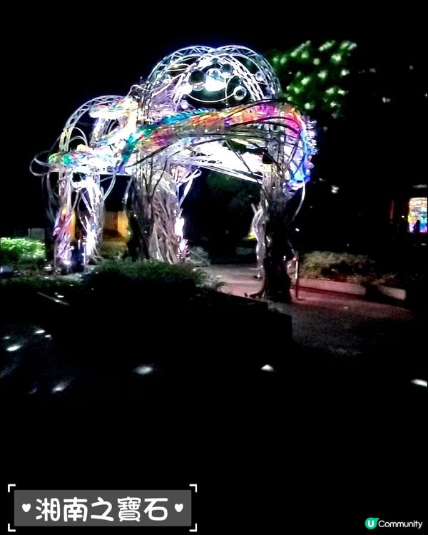 鎌倉。江之島。夜間拍攝景點🏮⛩️🌠🌌