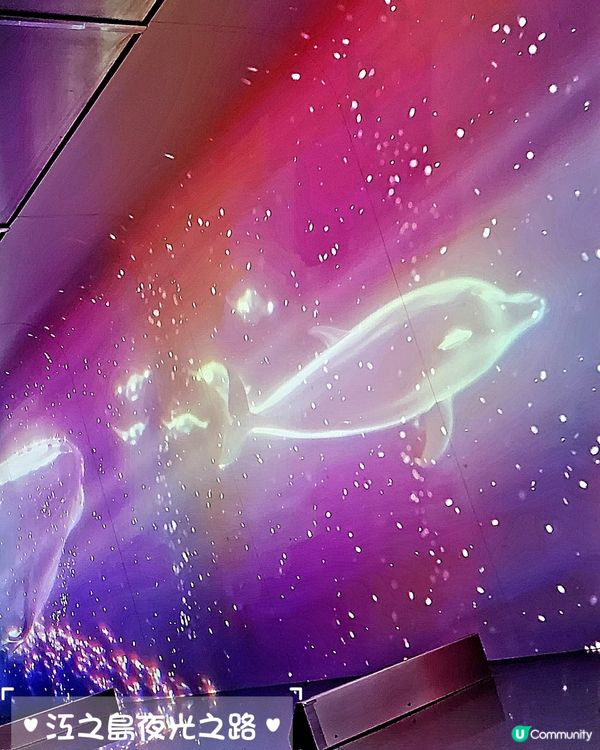 鎌倉。江之島。夜間拍攝景點🏮⛩️🌠🌌