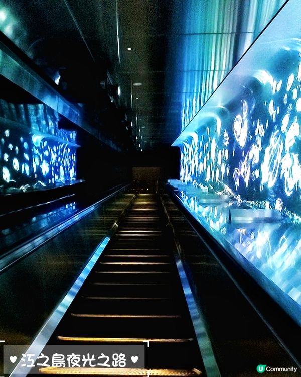 鎌倉。江之島。夜間拍攝景點🏮⛩️🌠🌌