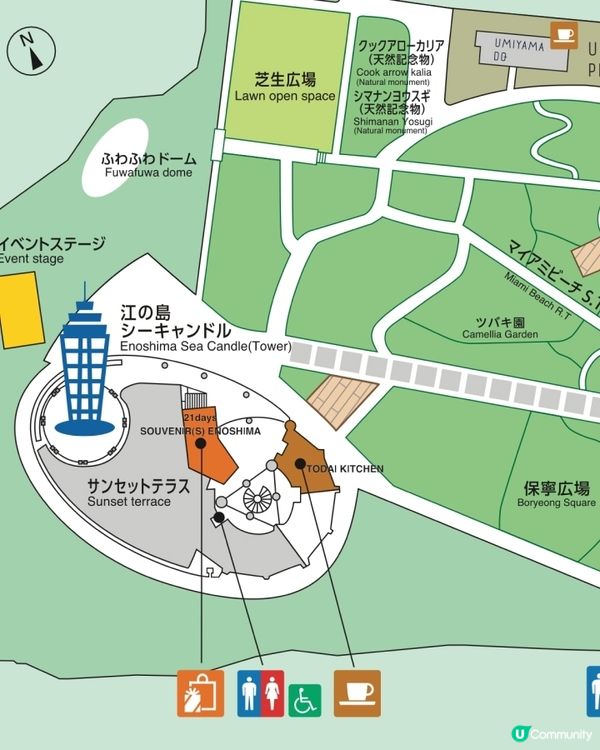 鎌倉。江之島。夜間拍攝景點🏮⛩️🌠🌌