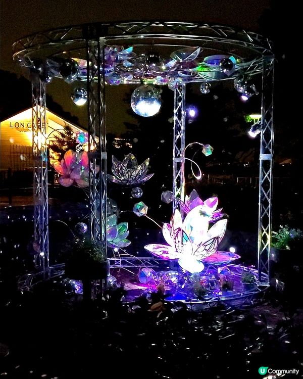 鎌倉。江之島。夜間拍攝景點🏮⛩️🌠🌌