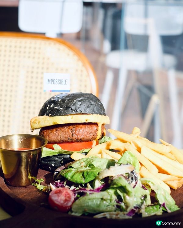 🐱 長沙灣貓貓Cafe 🐾 毛所樹樹