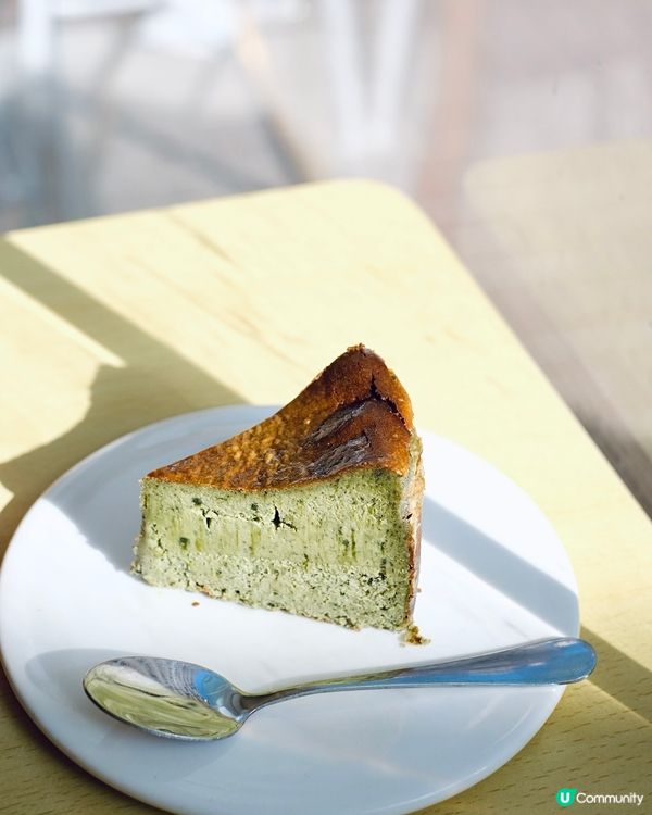 🐱 長沙灣貓貓Cafe 🐾 毛所樹樹