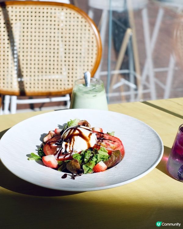 🐱 長沙灣貓貓Cafe 🐾 毛所樹樹