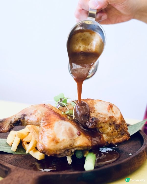 🐱 長沙灣貓貓Cafe 🐾 毛所樹樹